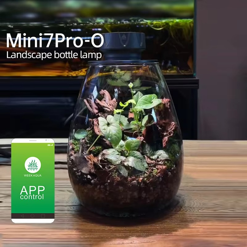 Planted Tank - COB 미니어처 식물 조명 데스크탑 장식