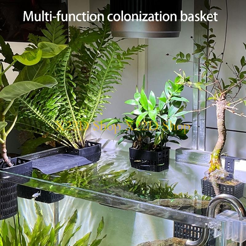 Aquarium Plant Holder - X22D 현대 고대 스타일 수직 식물