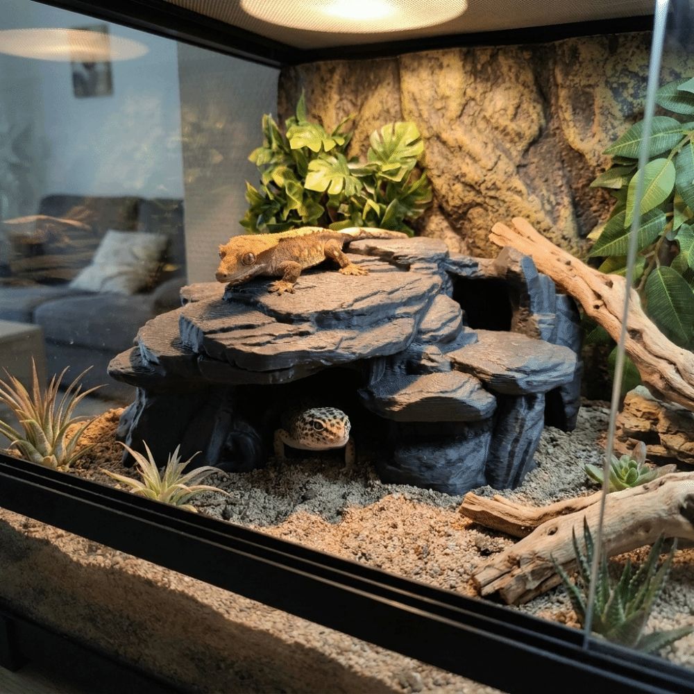 3D 프린팅 어항 석가산 장식품 사실적인 질감의 모조  - Aquarium Driftwood 리뷰 및 가격