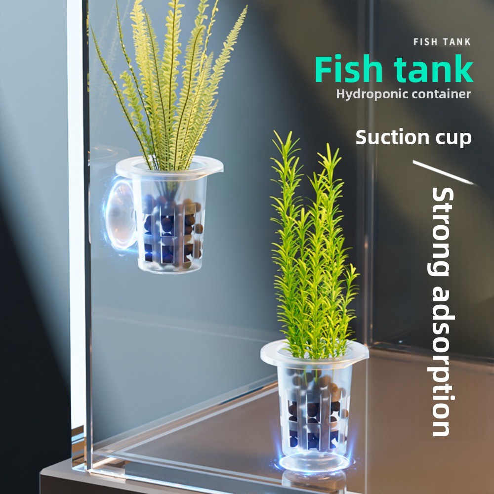 10Pcs 투명 식물 수경 재배 냄비 플라스틱 흡입 베 - Aquarium Plants Live 리뷰 및 가격