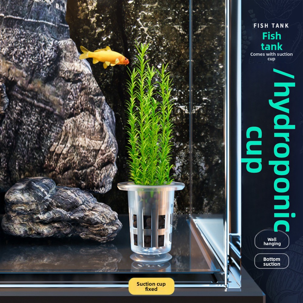 10Pcs 투명 식물 수경 재배 냄비 플라스틱 흡입 베 - Aquarium Plants Live 리뷰 및 가격