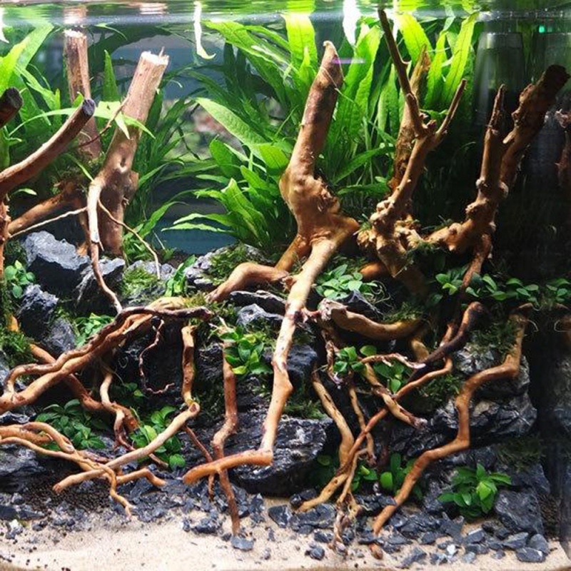 수족관 미니어처 풍경 DIY용 천연 유목 뿌리나무 장식 - Aquarium Driftwood 리뷰 및 가격