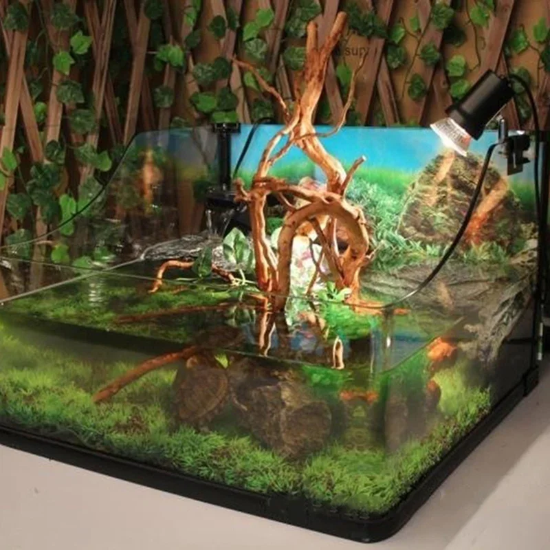 천연 나무 줄기 유목 수족관 어항, 파충류 실린더 뿌리 - Aquarium Plant Substrate 리뷰 및 가격