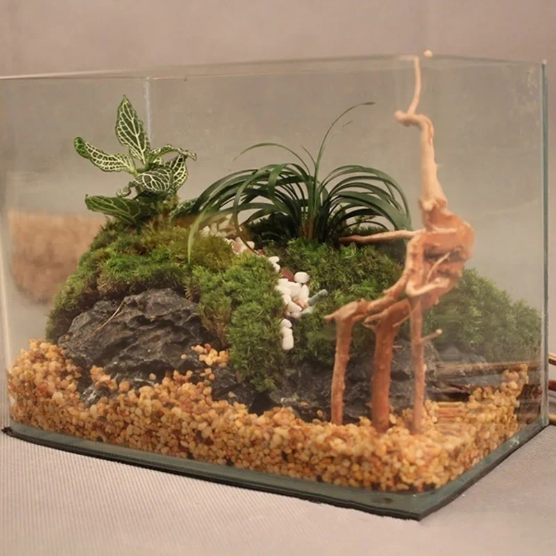 천연 나무 줄기 유목 수족관 어항, 파충류 실린더 뿌리 - Aquarium Plant Substrate 리뷰 및 가격