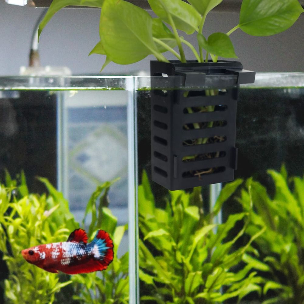 수생 식물 재배에 적합한 부유 식물용 후크와 흡입 컵이 - Aquarium Plant Holder 리뷰 및 가격