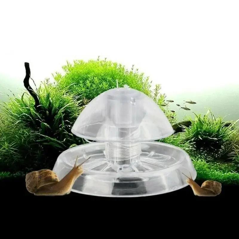 2026년형 새로운 6/8CM 투명 플라스틱 달팽이 트 - Planted Aquarium Cleaning 리뷰 및 가격