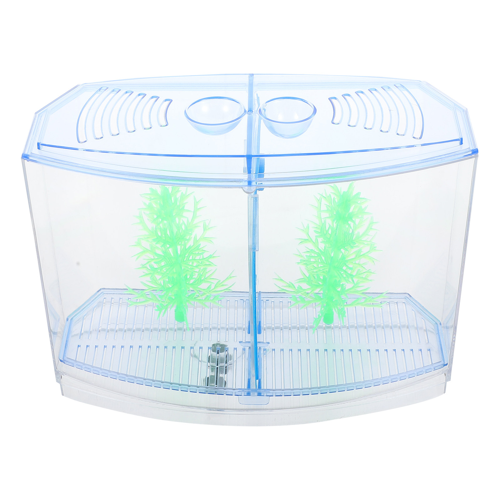 1세트 투명한 소형 아크릴 어항, 금붕어, 수생 식물  - Live Plant Aquarium 리뷰 및 가격