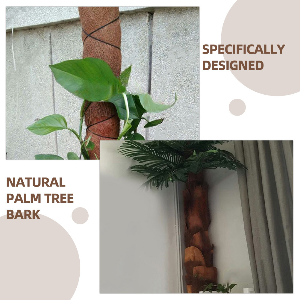5장, 천연 야자수 껍질, 식물 껍질, 정원 배경 장식 - Plant Aquarium Pot 리뷰 및 가격