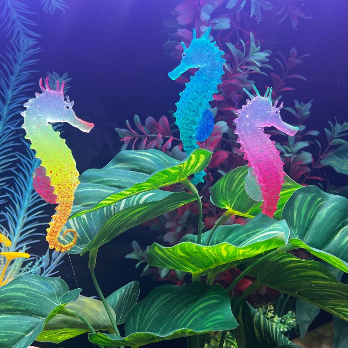 시뮬레이션 발광 해마 어항 장식, 가짜 물고기 장식품, - Aquarium Plant Substrate 리뷰 및 가격