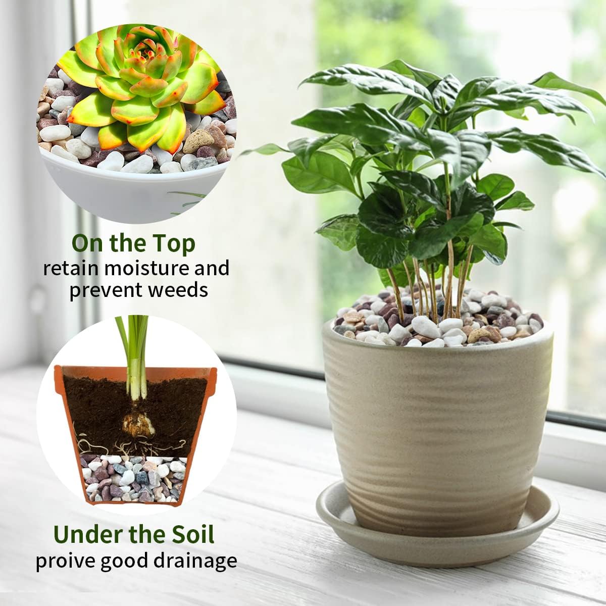 다양한 색상의 자갈 조약돌, 수족관, 다육 식물, 분재 - Plant Aquarium Pot 리뷰 및 가격