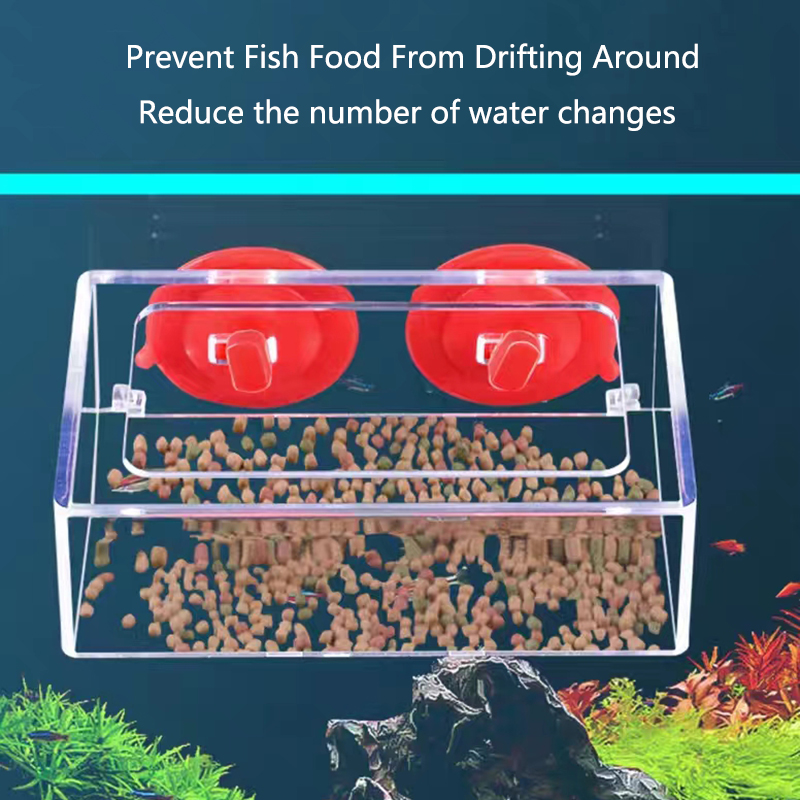 수족관 먹이 링 물고기 탱크 스테이션 부동 음식 트레이 - Aquarium Fertilizer 리뷰 및 가격