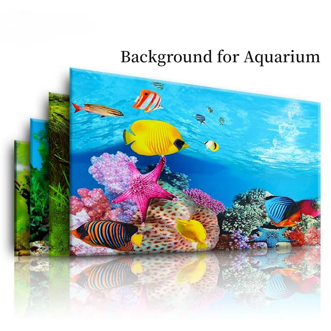 배경 수족관 3D 스티커 포스터 장식, 어항 해양 식물 - Aquarium Plants Live 리뷰 및 가격