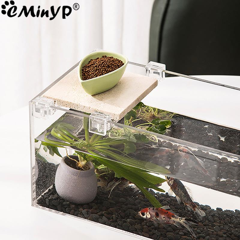 5.5mm ~ 15mm 벽 두께에 대 한 4Pcs 물고 - Aquarium Plant Holder 리뷰 및 가격