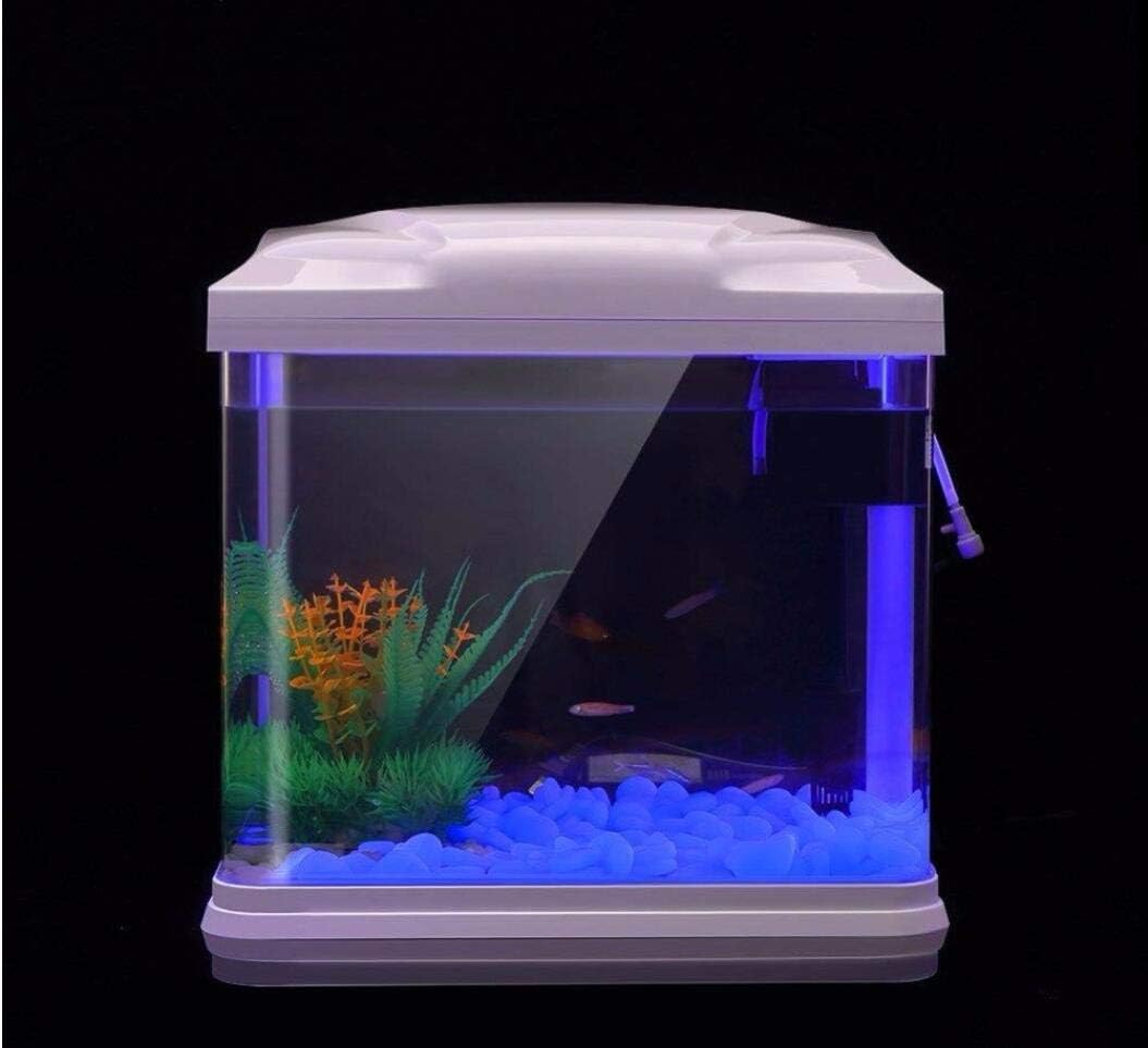 물고기 탱크 바위 정원 물고기 탱크 수족관 식물 냄비  - Plant Aquarium Pot 리뷰 및 가격