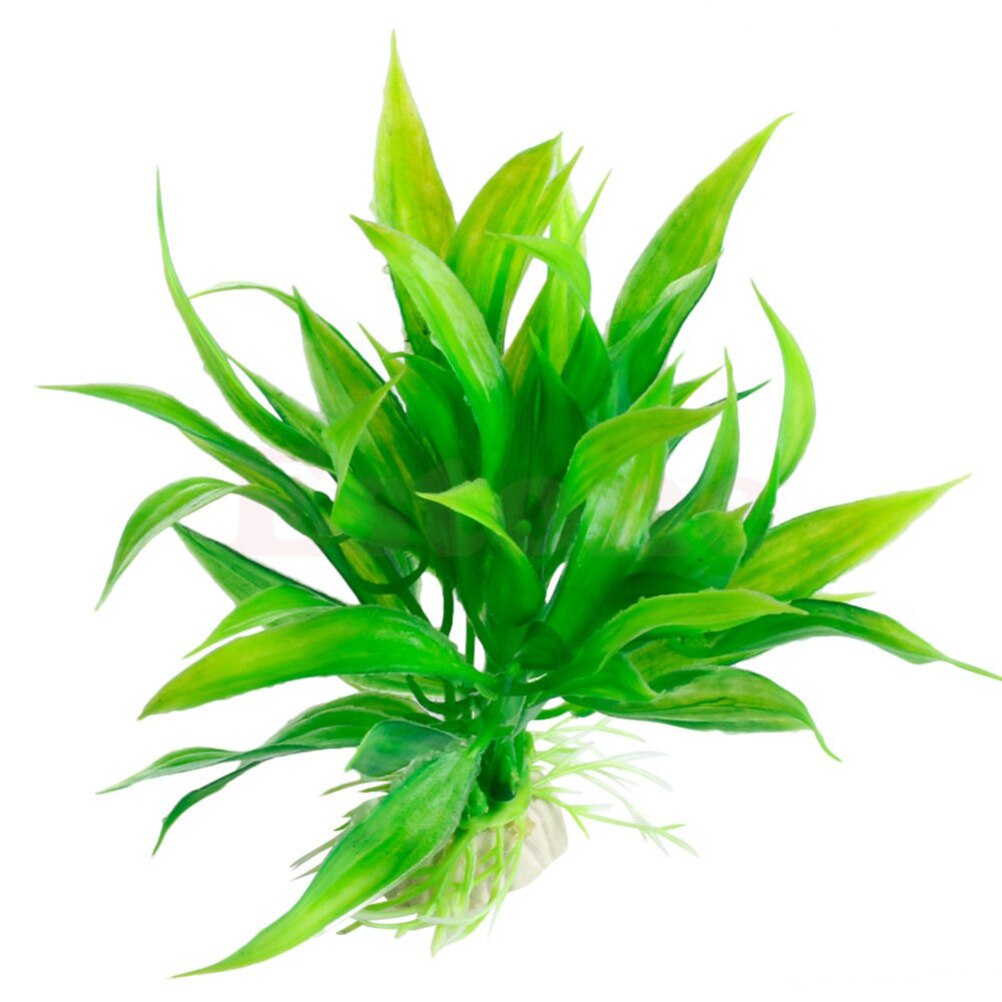 인공 수족관 장식 식물, 물 잡초 장식, 수생 식물,  - Live Plant Aquarium 리뷰 및 가격
