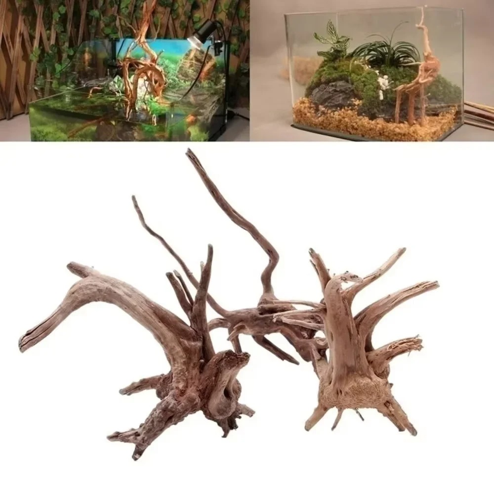 15-20CM 천연 유목 수족관 장식 - 프리미엄 나무 - Aquarium Plant Substrate 리뷰 및 가격