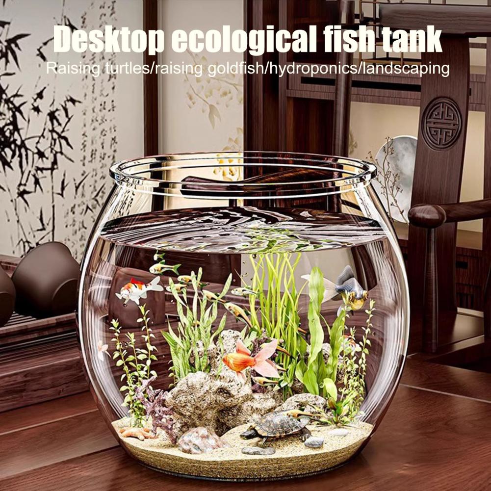 투명 플라스틱 원형 어항 수족관 거실 탁상용 꽃병 셀프 - Plant Aquarium Pot 리뷰 및 가격