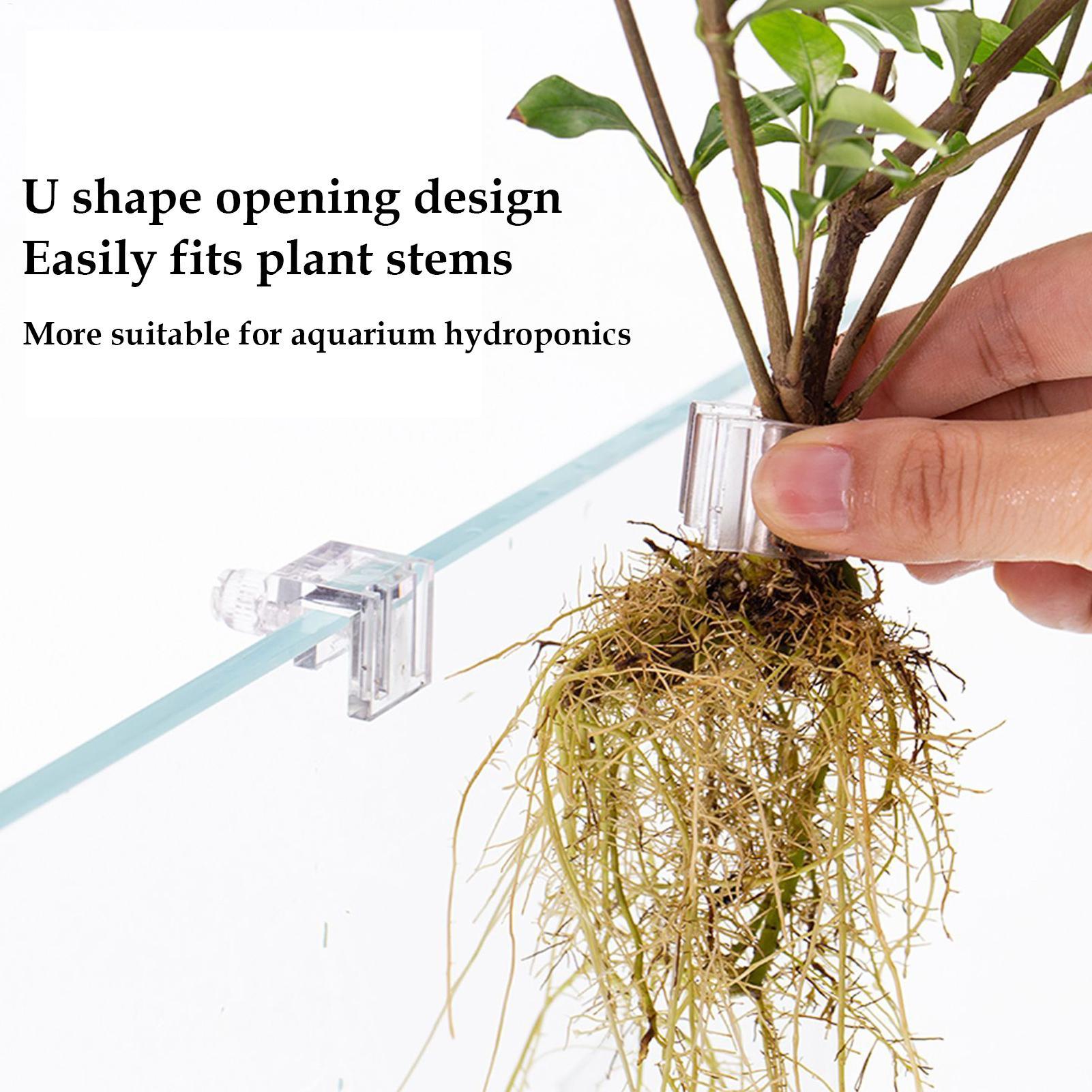 미니 어항 화분 6개 세트 수족관 식물 홀더 지지대 컵 - Aquarium Fertilizer 리뷰 및 가격