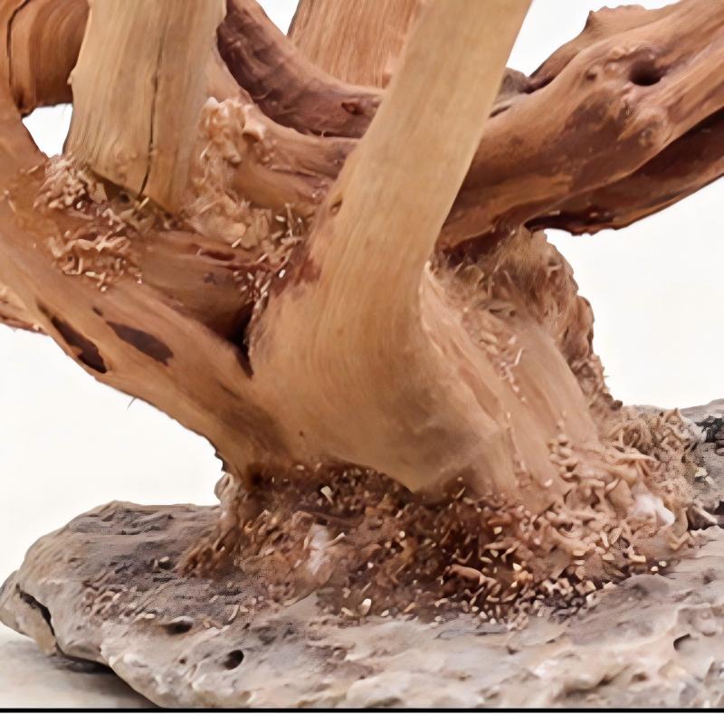 1PC 수족관 조경 나무 장식품 홈 물고기 탱크 소품에 - Aquarium Driftwood 리뷰 및 가격
