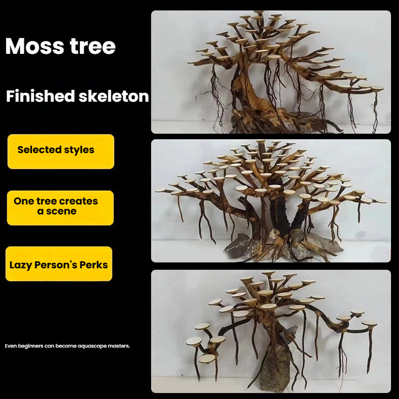 수족관 조경용 이끼나무 뼈대 마감된 유목 삼나무 뿌리  - Aquarium Moss 리뷰 및 가격
