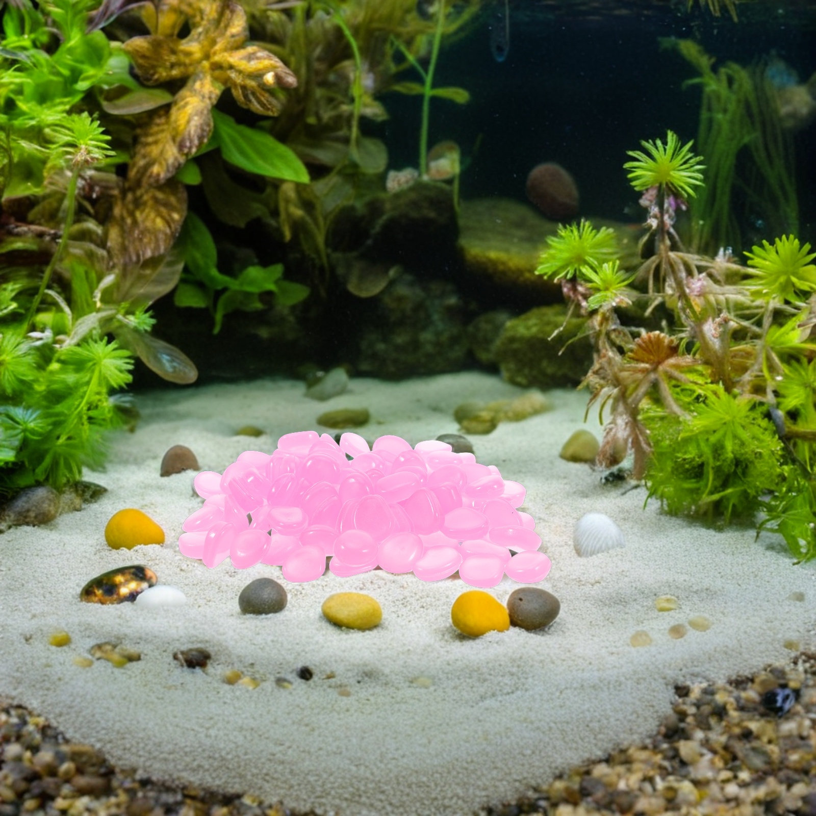 어항, 수족관, 정원 및 화분에 사용할 수 있는 야광  - Plant Aquarium Pot 리뷰 및 가격