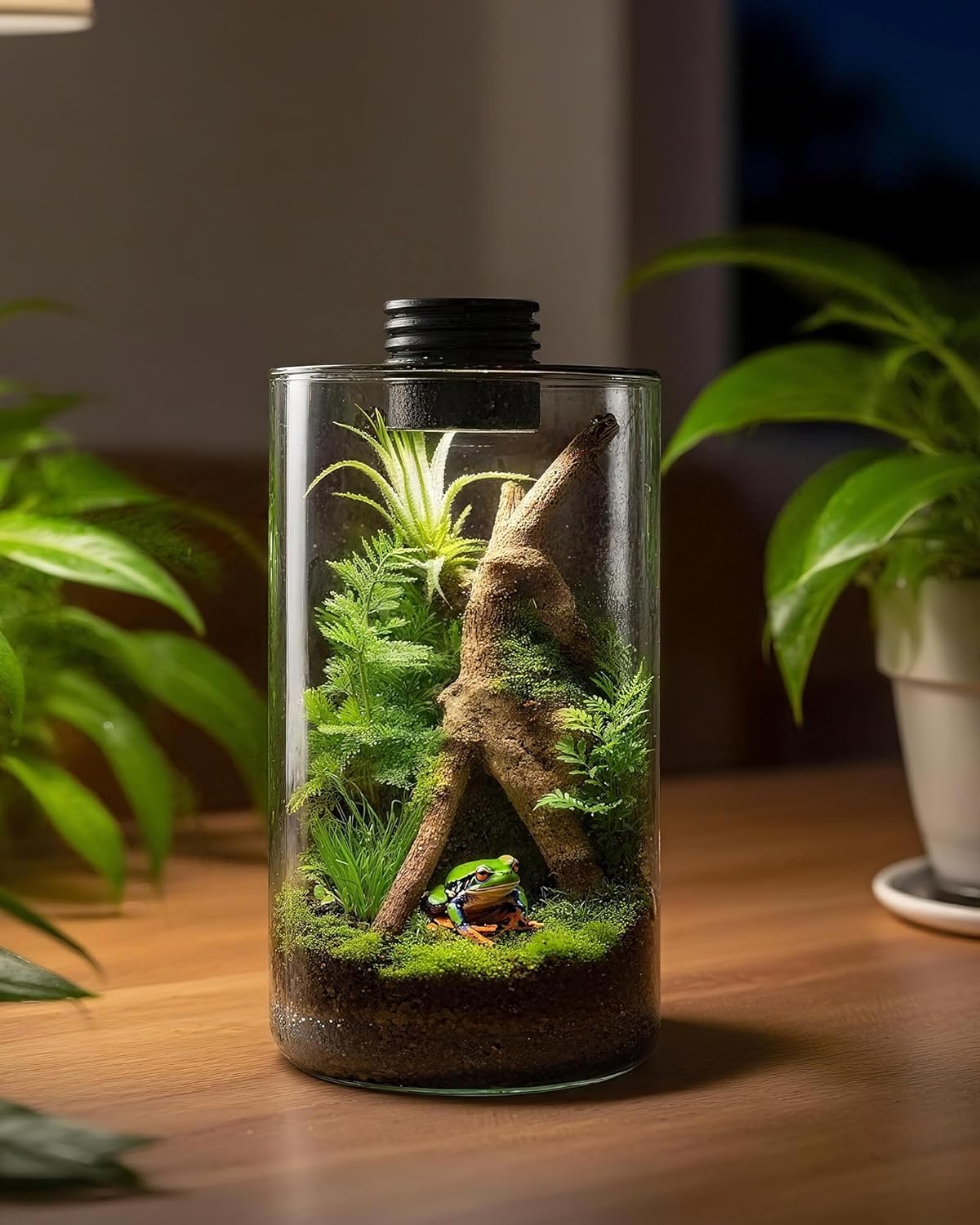 실내 유리 테라리움(조명 포함), 9.8인치 높이 ×  - Planted Tank 리뷰 및 가격