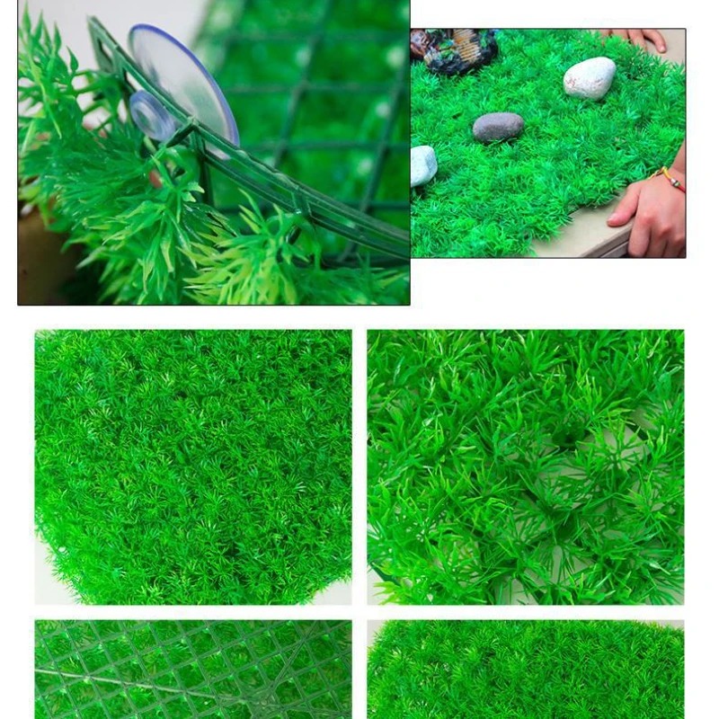 인공 잔디 잔디 수족관 어항 장식, 부드러운 고밀도 접 - Live Plant Aquarium 리뷰 및 가격