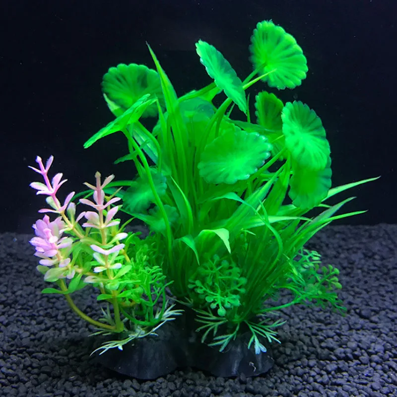 수족관 인공 장식 식물 시뮬레이션 물 잡초 장식 물고기 - Live Plant Aquarium 리뷰 및 가격