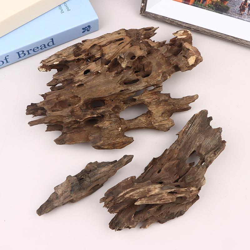 △   새우 나무 수족관 장식, 자연스러운 구멍이 있는 - Aquarium Driftwood 리뷰 및 가격
