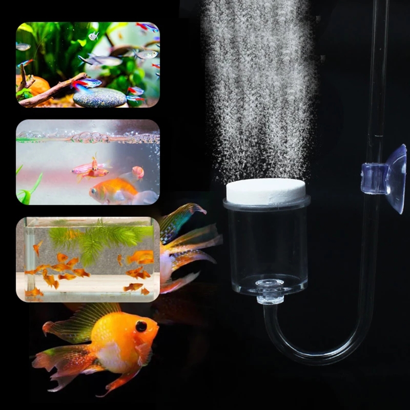 수족관 유리 탱크용 DIY CO2 디퓨저, 버블 반응기 - Aquarium Liquid Carbon 리뷰 및 가격