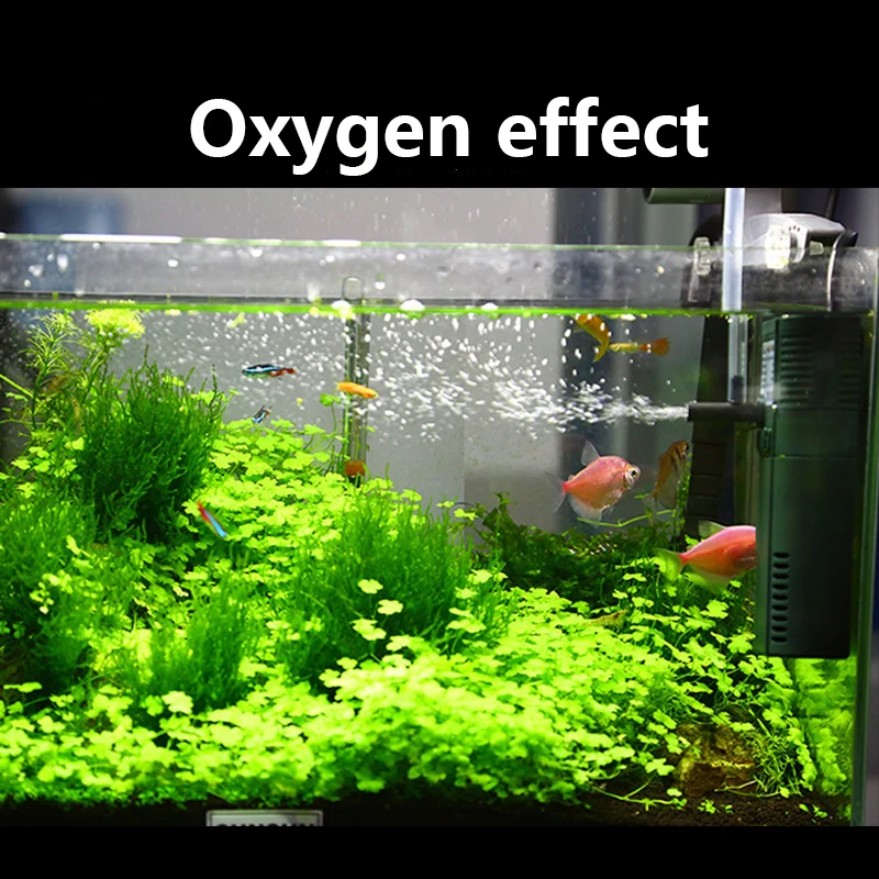 SUNSUN 미니 나노 111B, 311B, 611B, - Aquarium Planted Tank Filter 리뷰 및 가격