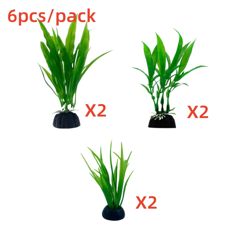 6개들이 포장, 수족관 식물, 가정 및 사무실용 수족관 - Live Plant Aquarium 리뷰 및 가격